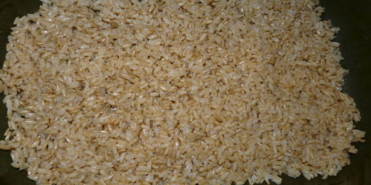 vrstva rýže