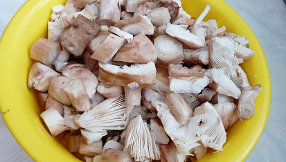 Segedinský guláš z masáků (růžovek), připravené houby