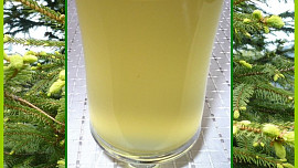 Sirup ze smrkových výhonků (pro Janinu)