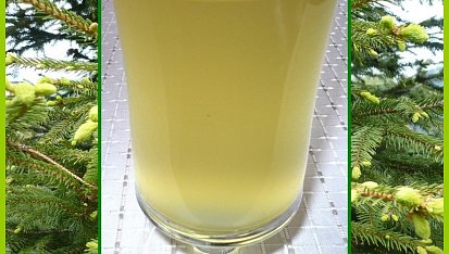 Sirup ze smrkových výhonků (pro Janinu), Hotový sirup.