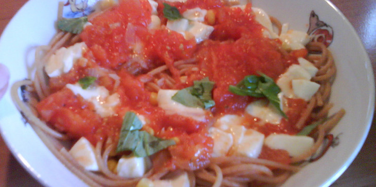 Špagety s rajčatovou omáčkou (S mozzarellou)