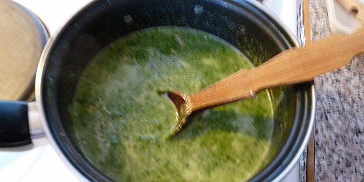 Špenátová polévka se žampiony (klokotá)