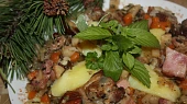 Šumavská živáň, Šumavská živáň