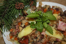 Šumavská živáň