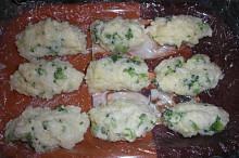 nočky