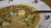 Zeleninová polévka, Zeleninová polévka