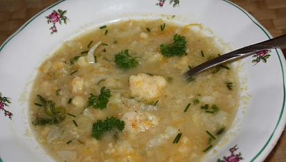 Zeleninová polévka, Zeleninová polévka