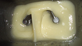 Citronový sirup do čaje