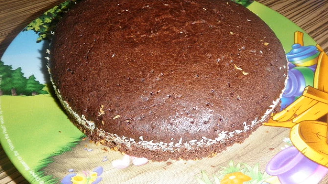 Dort Vítek