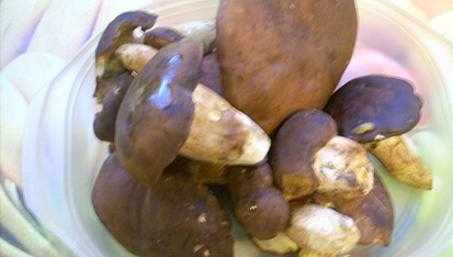 Houbová sekaná
