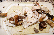suroviny