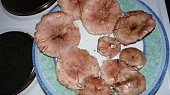 Houby na česneku, růžovka