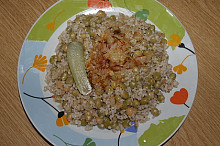 kočičí svatba