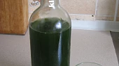 Mátový sirup - vařený, sterilovaný