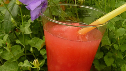 Melounový sorbet