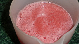 Melounový sorbet
