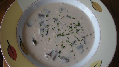 Mléčná houbová polévka