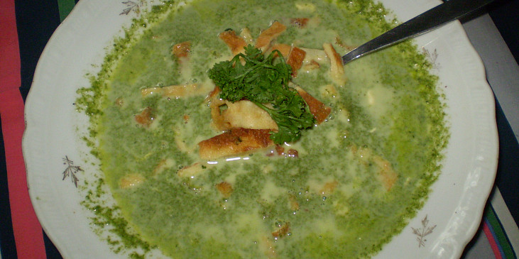Špenátová polévka