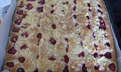 NETINKA S MAJOLKOU