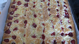 NETINKA S MAJOLKOU