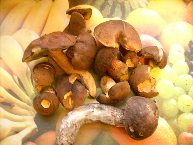 Nudle s houbami