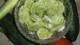Okurkový salát s koprem