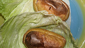 Pečení čerti (pečení čerti)