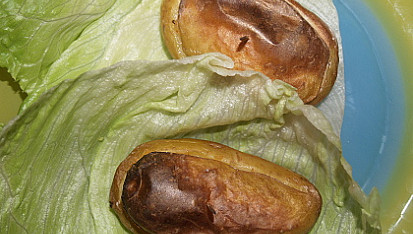 Pečení čerti, pečení čerti