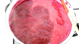 Rybízová marmeláda