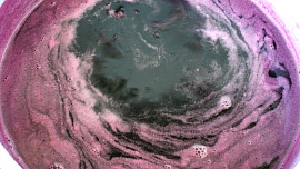 Sirup z černého rybízu