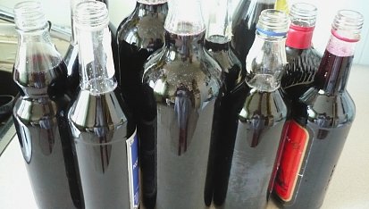 Sirup z černého rybízu