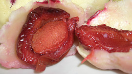 Švestkové knedlíky s mákem