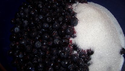 Tvarohovo-rohlíkové knedlíčky s borůvkovou omáčkou