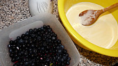 Vanilková nebo ovocná zmrzlina, suroviny