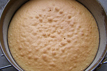 upečený piškot