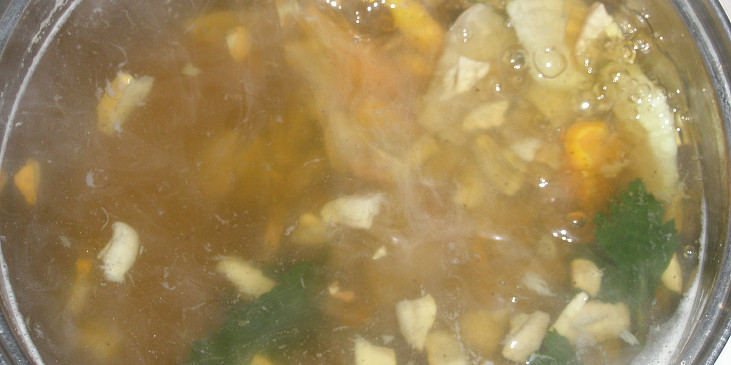 Houbová polévka