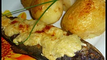 Jihočeský pstruh na grilu i v troubě