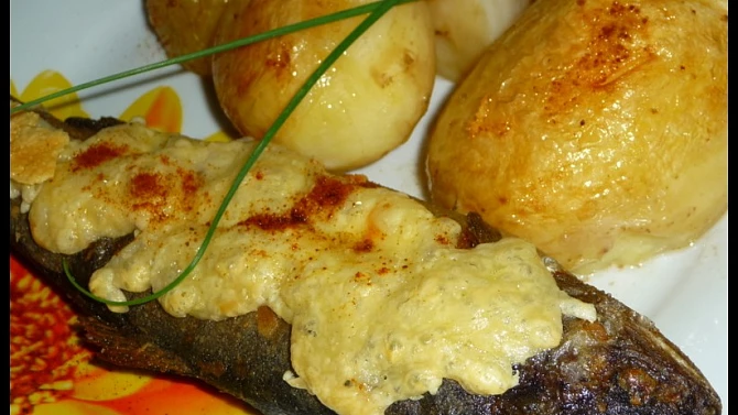 Jihočeský pstruh na grilu i v troubě