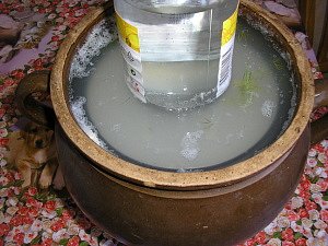 Kvašáky