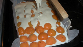 Meruňkové řezy