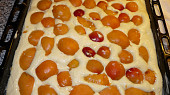 Meruňkový litý koláč, těsto s ovocem