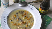 Rožnovsko - Homolská brambůrka