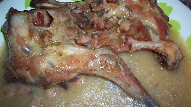 Beskydský králík