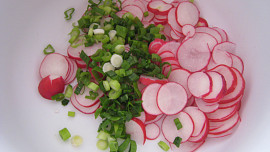 Cibulový salát s ředkvičkou