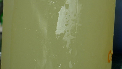 Citrónový sorbet