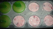 Jahodovo - jogurtové nanuky, poslední vrstva
