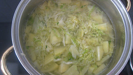 Kapusta (slovensky kel) po bulharsku