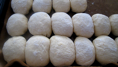 Kynuté buchty