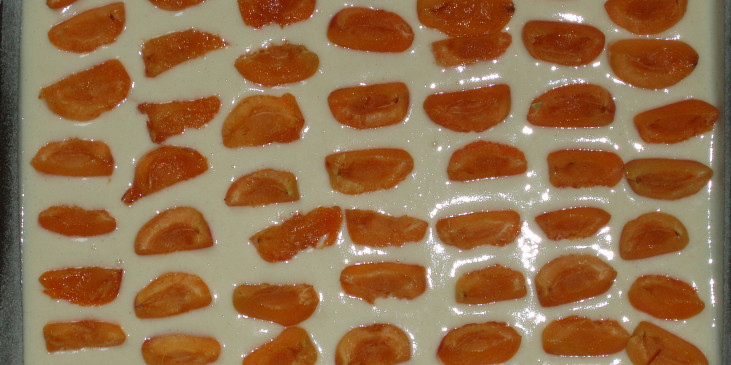 Meruňkový koláč s drobenkou (těsto s meruňkami předtím, než bylo posypáno…)