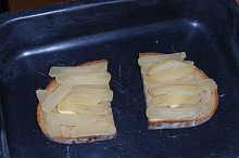 Před vložením do trouby